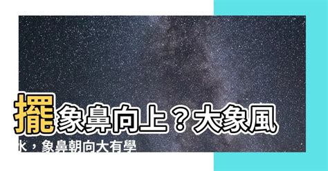 風水象鼻|象鼻風水與房屋格局關係